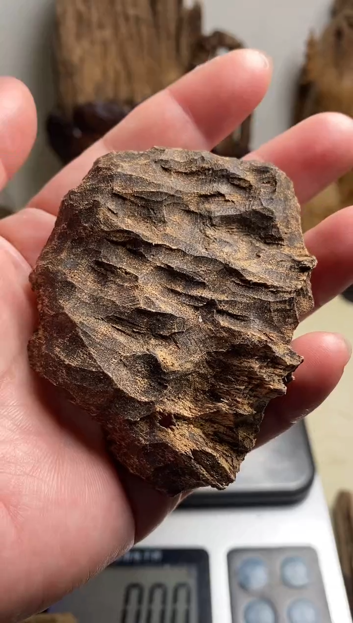 沉香碎屑沉香海南沉香原料10克