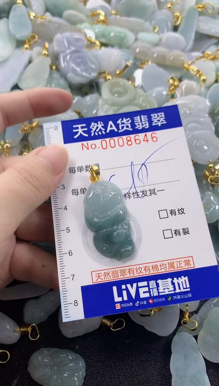 颈饰未镶嵌翡翠天然A货翡翠