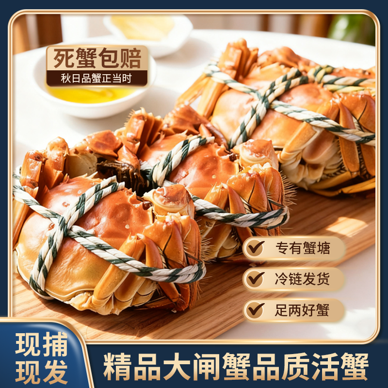 【活蟹】3两公蟹2两母蟹对蟹组合 苏州精品大闸蟹 鲜活现捞包邮上门