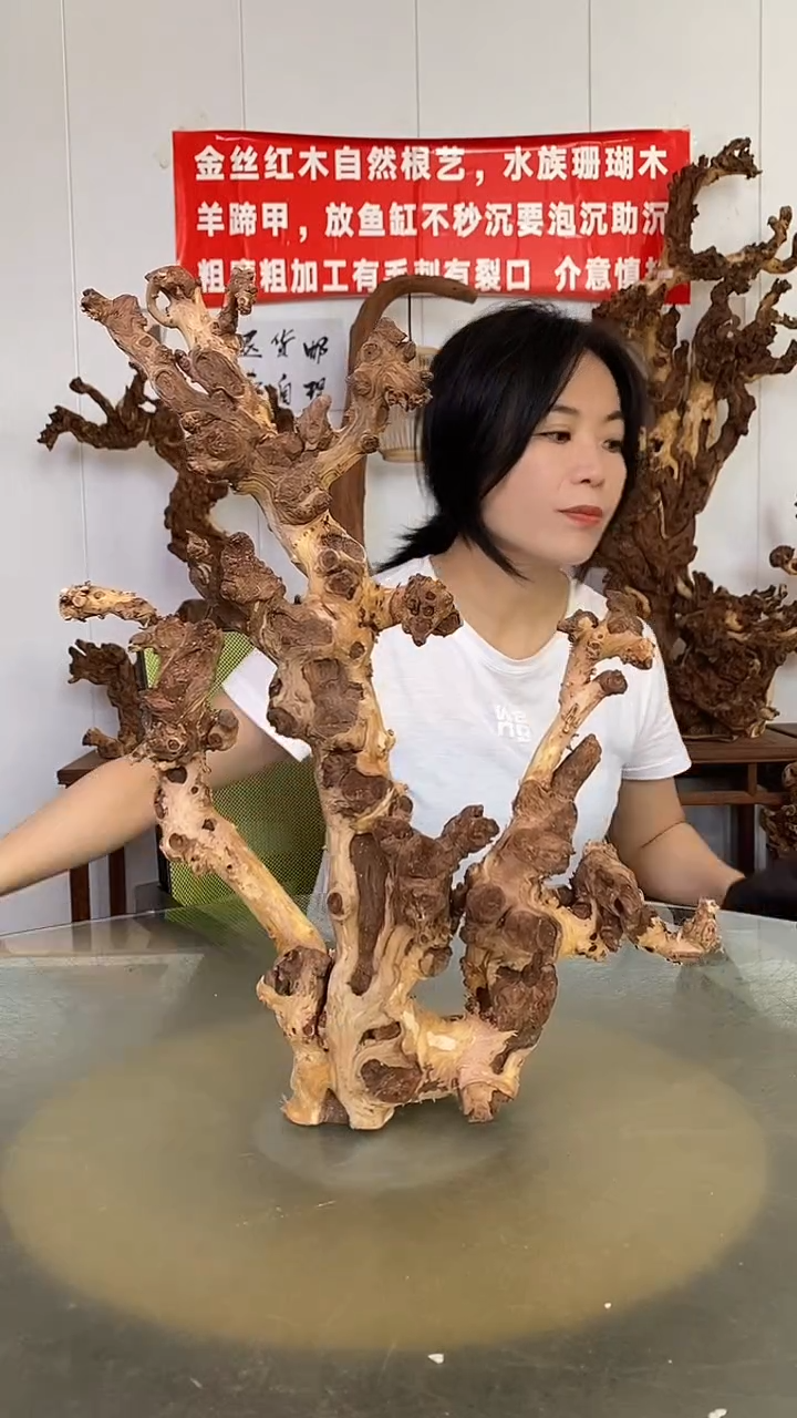香榧木张金丝红木 羊蹄甲