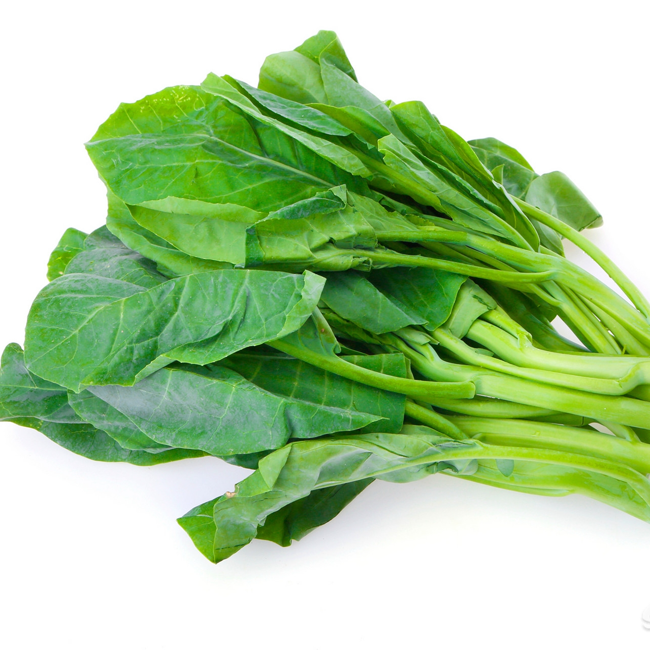 （书记助农）农家菠菜 包邮