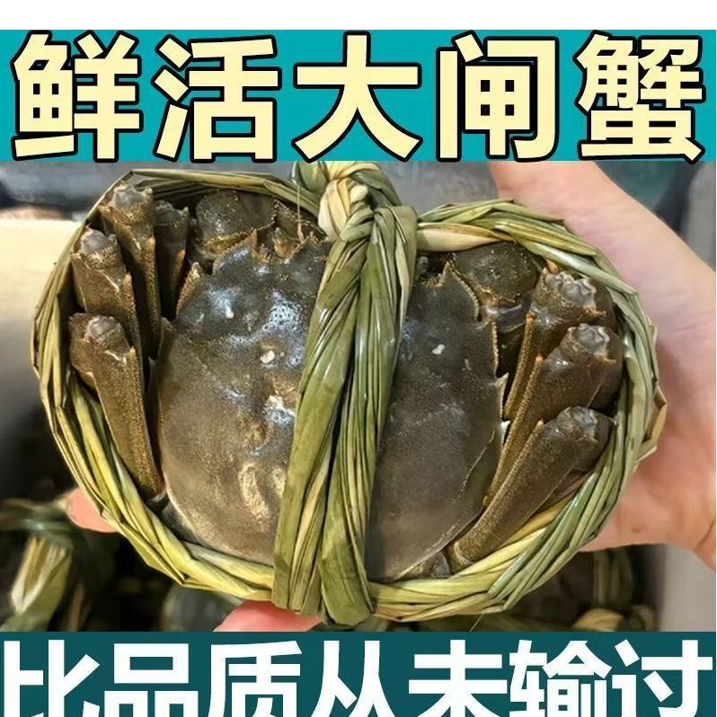 【活蟹】江苏兴化精品大闸蟹公5.8-6.1两母4.8-5.1两3对鲜活螃蟹