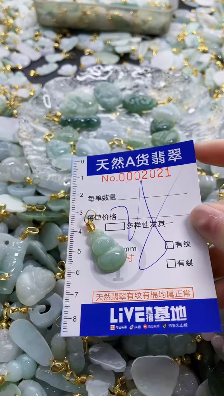 颈饰未镶嵌翡翠纯天然a货翡翠