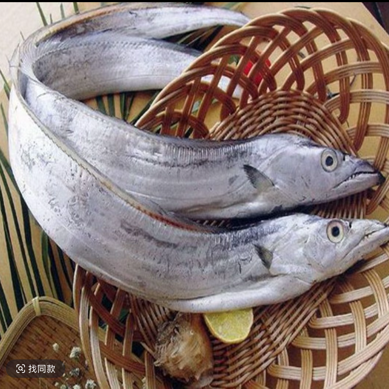 大连渤海湾刀鱼4斤每条一斤顺丰包邮）