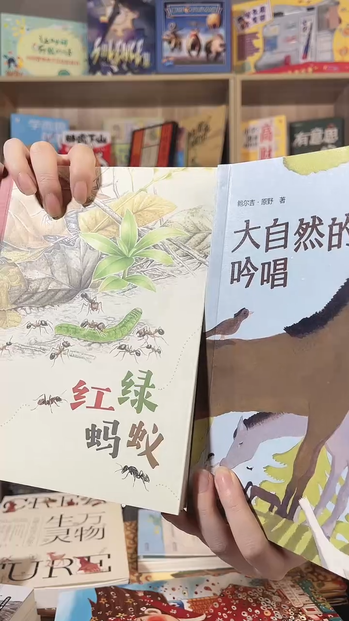 红绿蚂蚁和大自然的吟唱