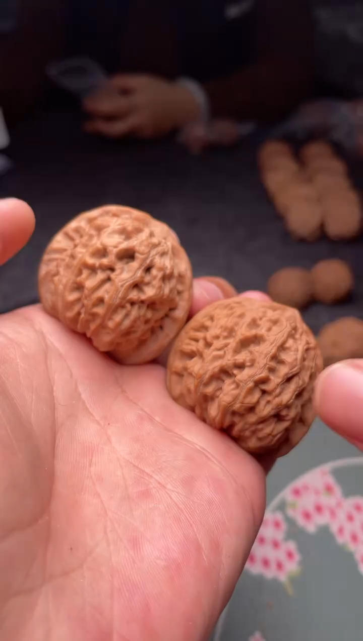 把件文玩核桃a184    龙脉 41尺