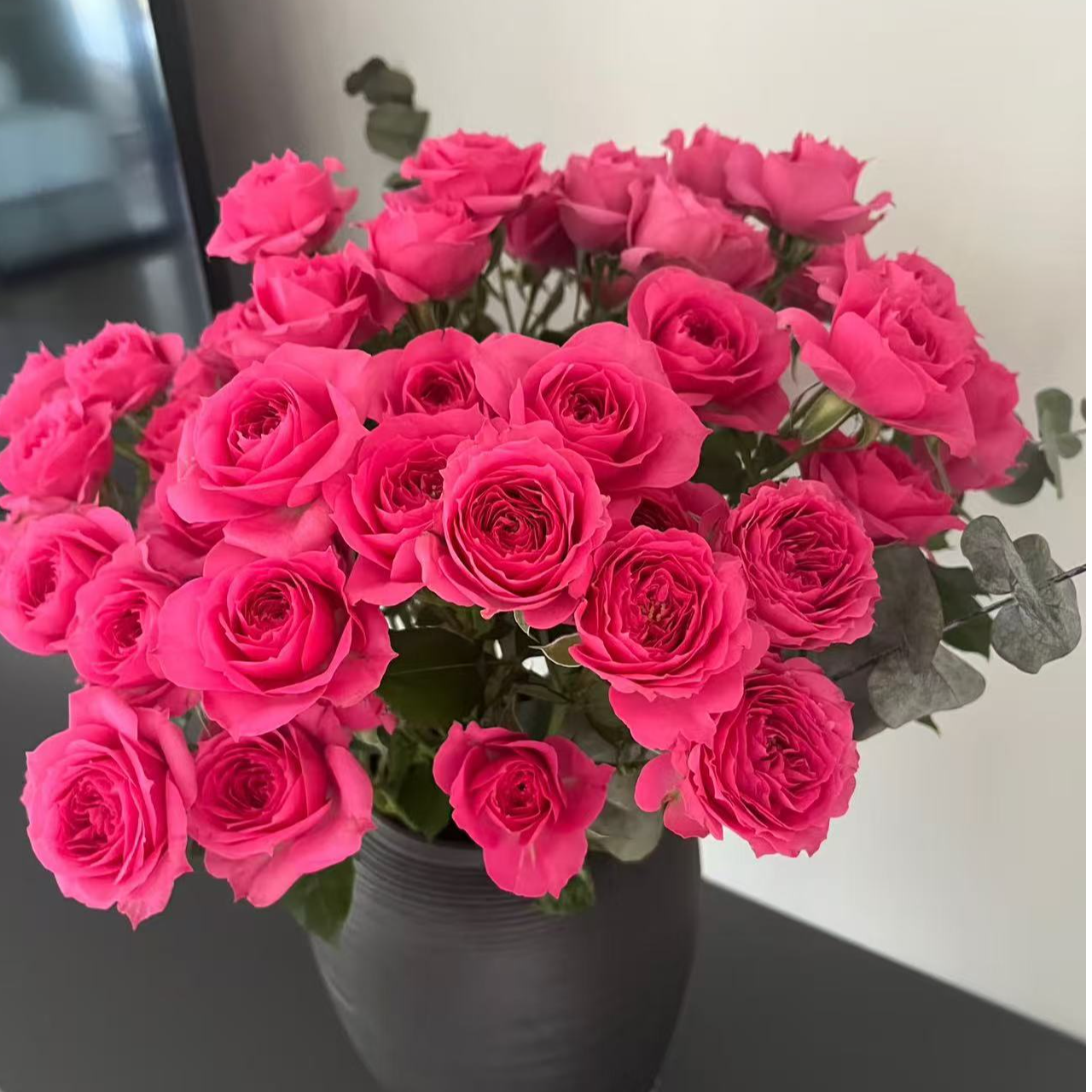 【六哥花卉】苏菲宝贝多头玫瑰