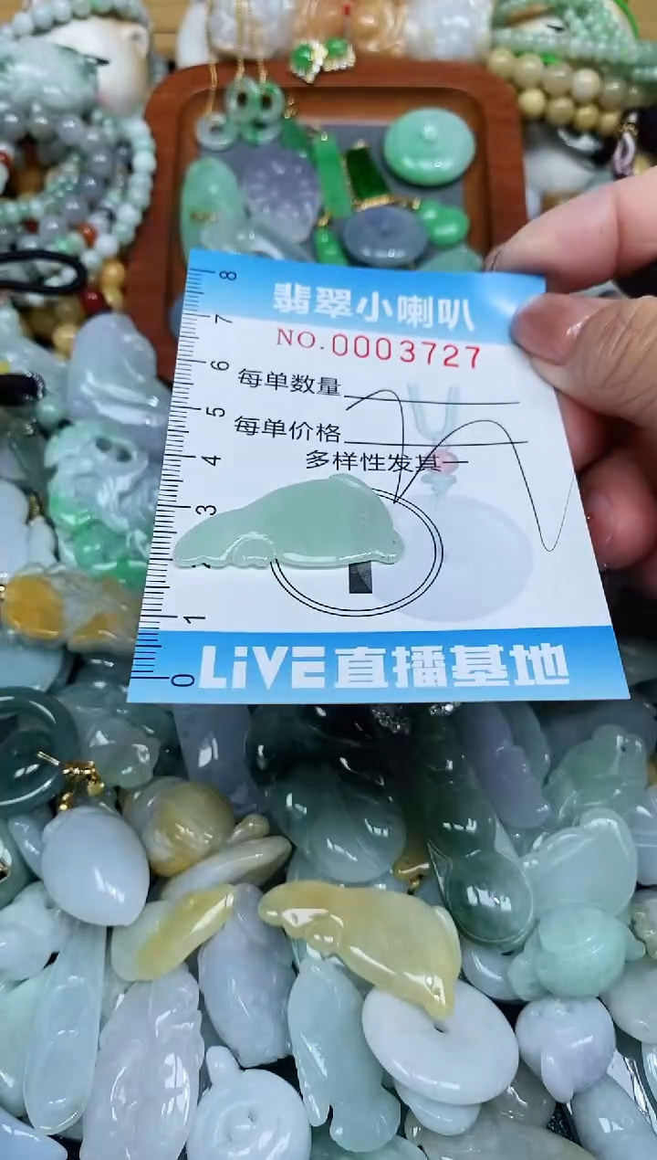 【闪购商品】翡翠颈饰未镶嵌闪购0003727