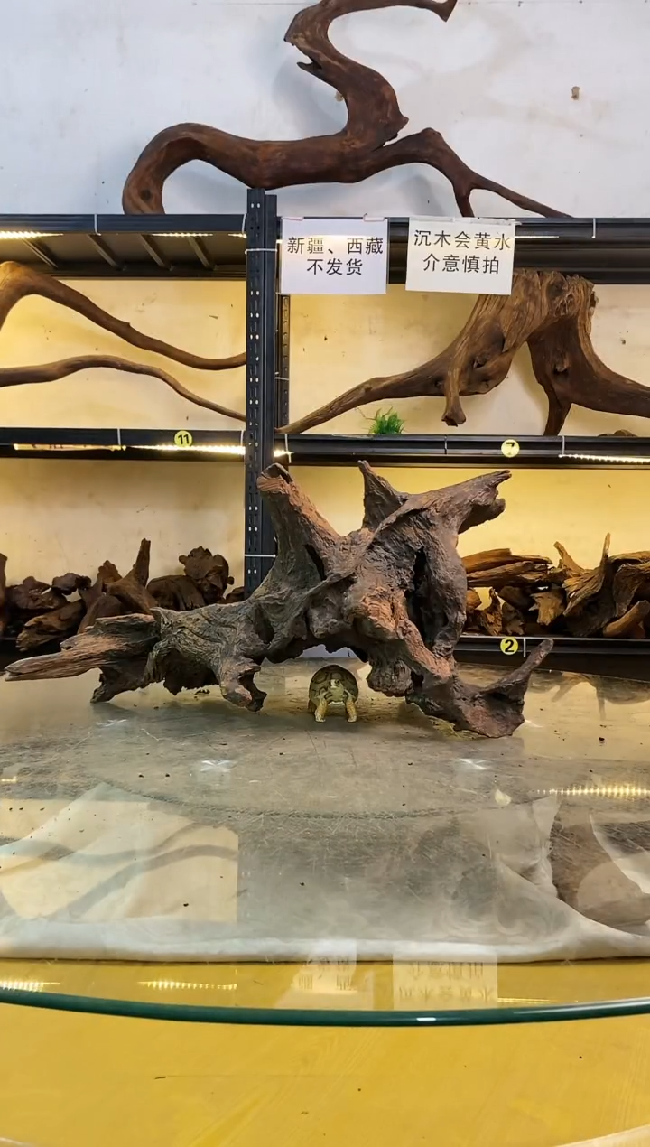 【闪购商品】柚木木艺73-34-31鱼缸造景素材100