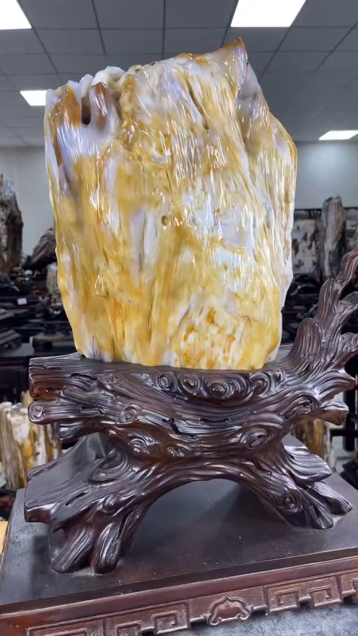 【闪购商品】硅化玉珠宝奇石未镶嵌1