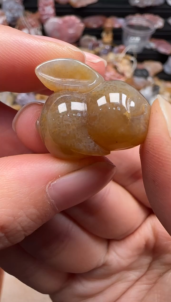 【闪购商品】硅化珊瑚（珊瑚玉）颈饰未镶嵌702