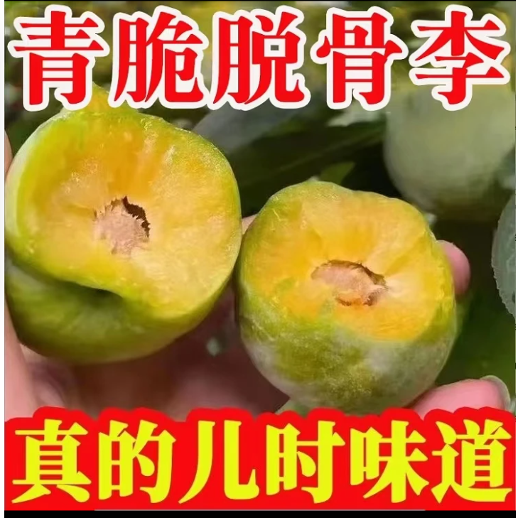 正宗四川脱骨李青脆李水果新鲜当季空心李子脆甜成熟清甜