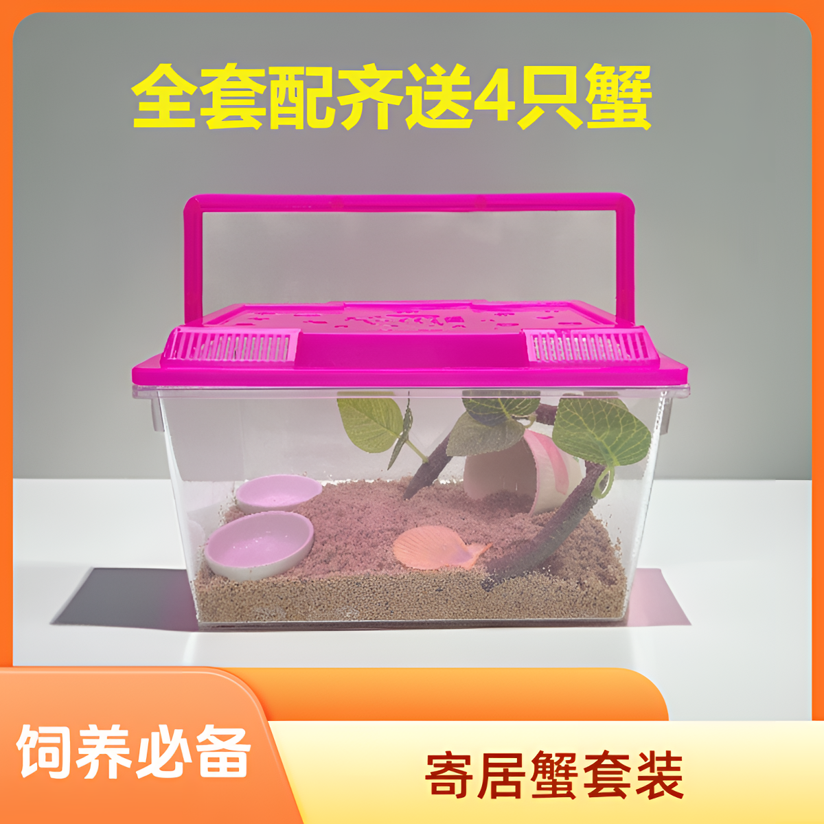 A1-100寄居蟹专用饲养箱全套中号手提透明盒子整套爬宠专用耐摔款