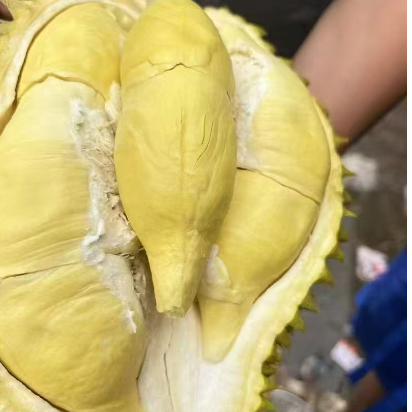 泰国空运树熟金枕