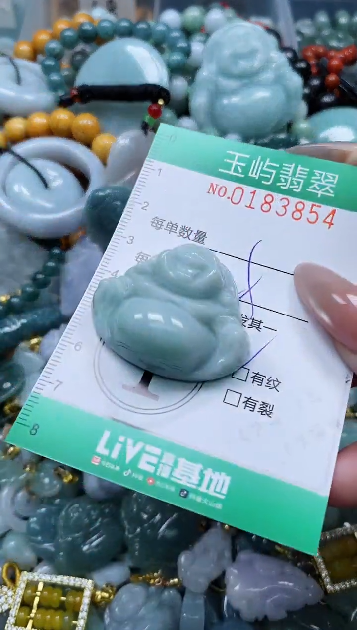 翡翠未镶嵌颈饰闪购0183854