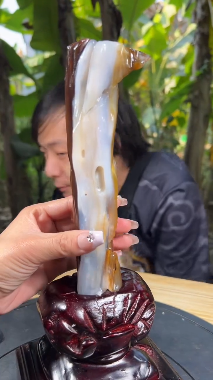 【闪购商品】硅化玉珠宝奇石未镶嵌拍一发一