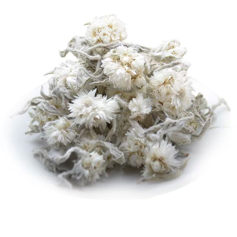 甘孜藏乡海螺沟自然生长冰川雪菊可泡茶饮用