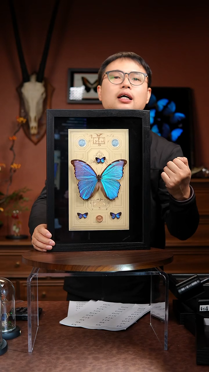 N3大蓝闪+3小灰蝶竞拍