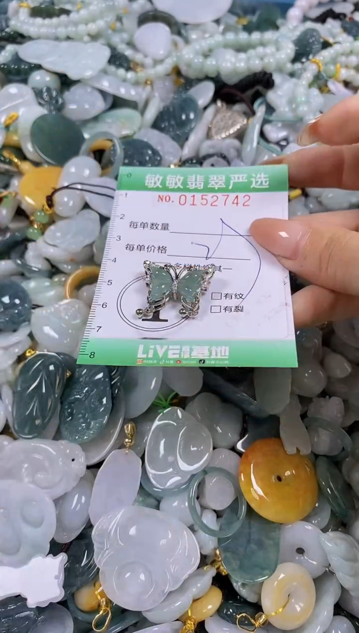 翡翠未镶嵌颈饰闪购0152742