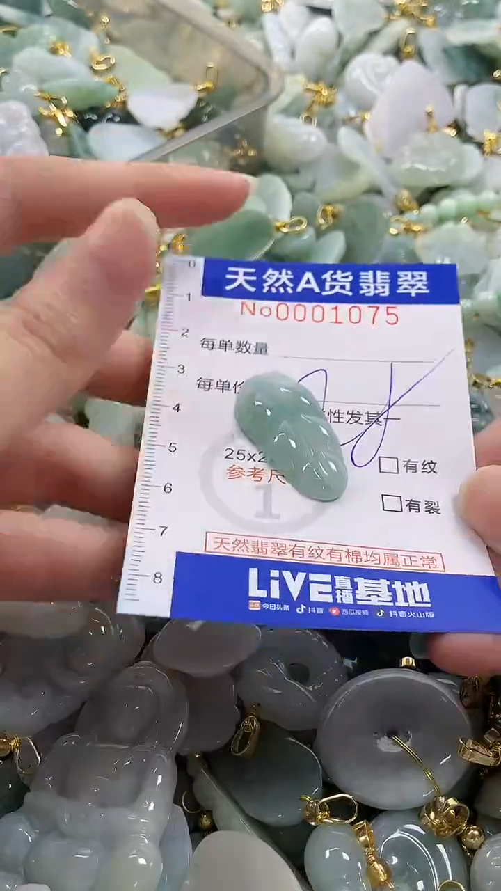 颈饰未镶嵌翡翠纯天然a货翡翠