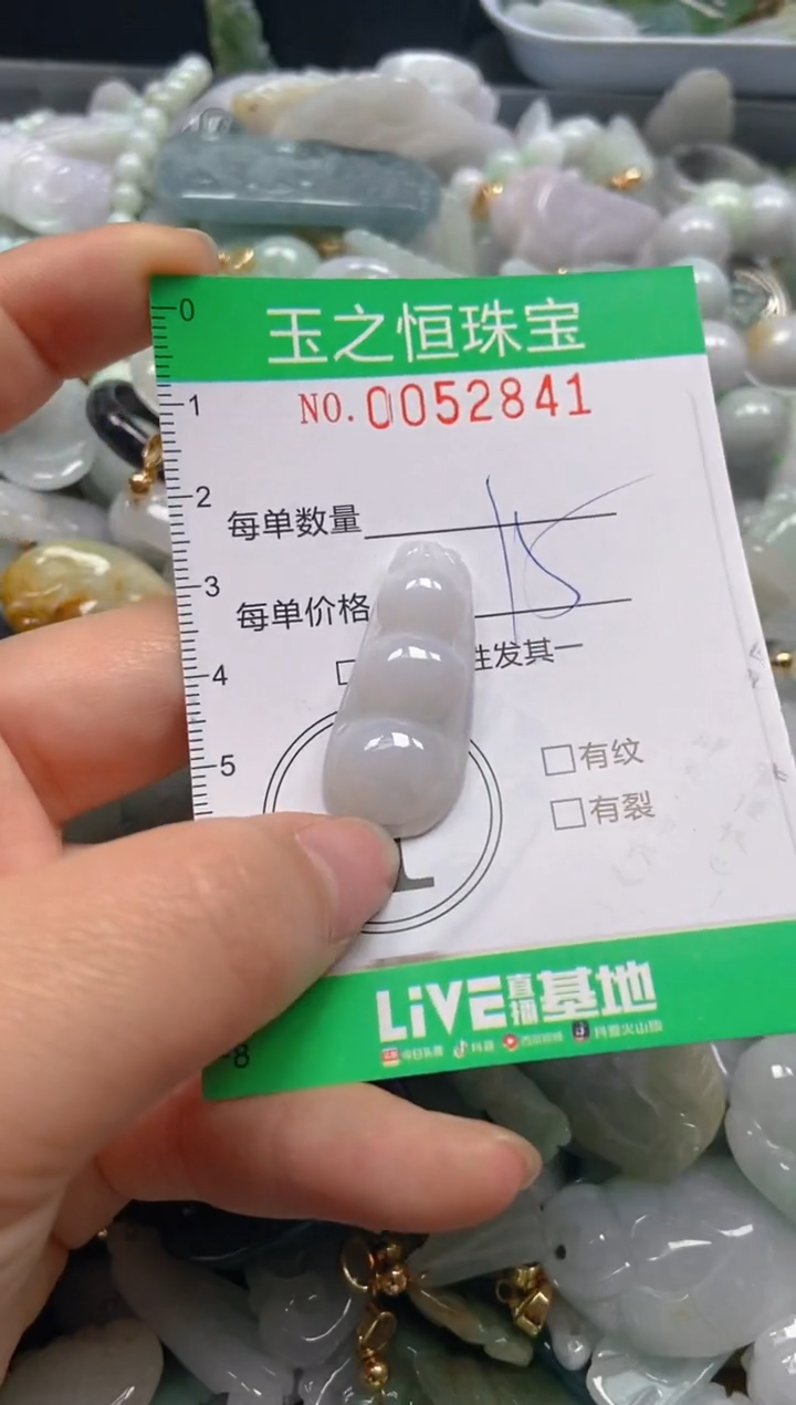 【闪购商品】翡翠颈饰未镶嵌闪购0052841