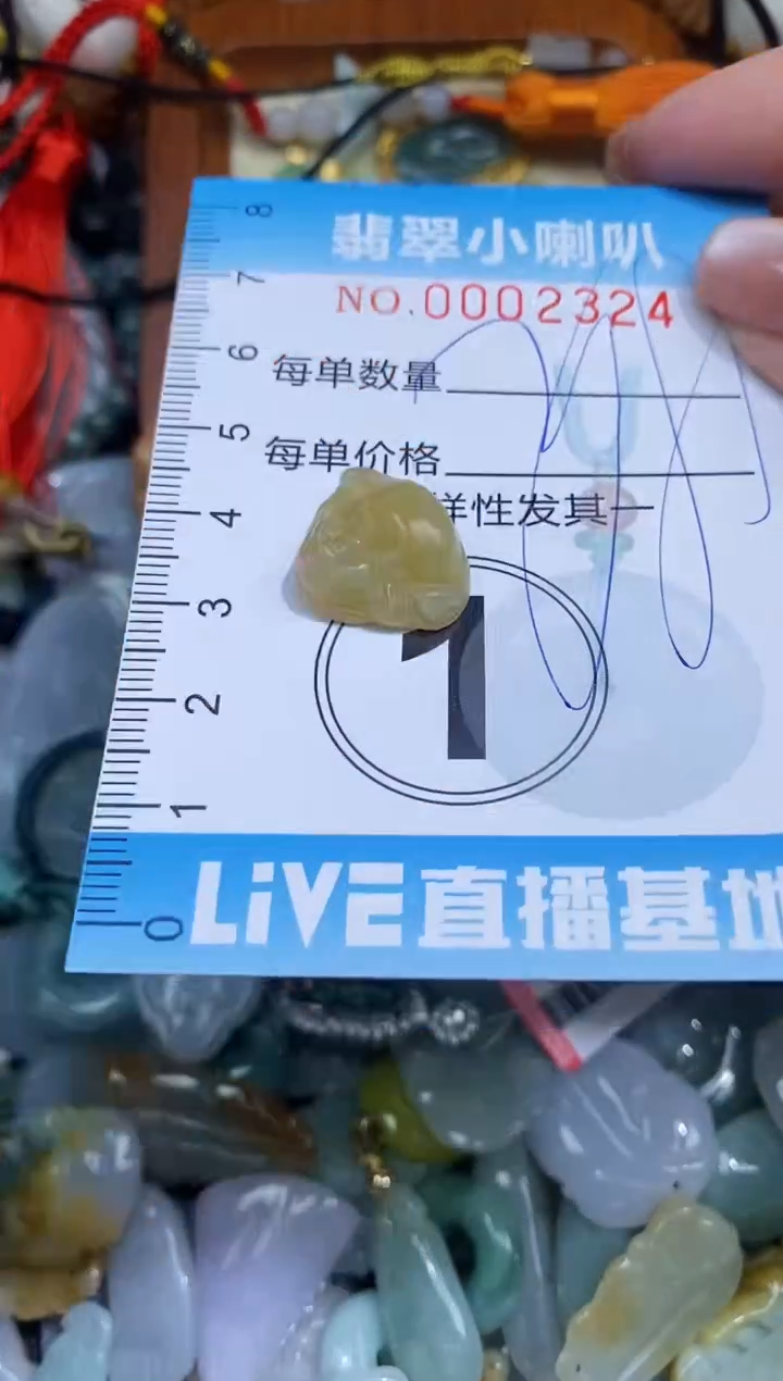 【闪购商品】翡翠颈饰未镶嵌闪购0002324