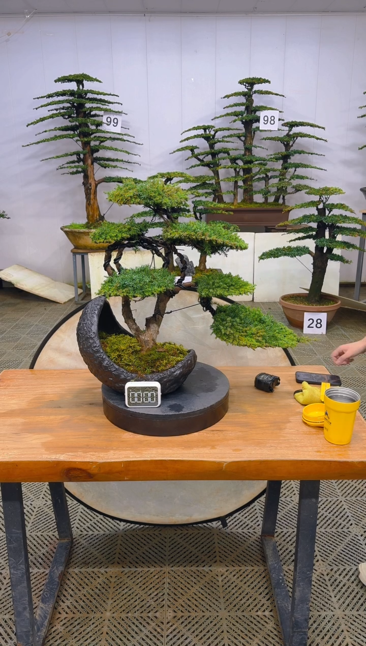 无花朵一物一拍一物一拍