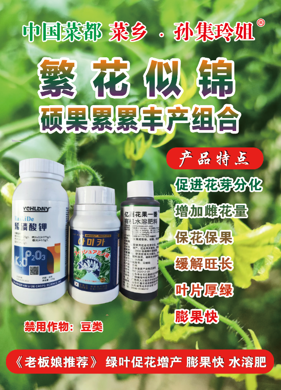 菜乡玲姐硕果累累丰产组合促花保花保果水溶肥大蒜肥料