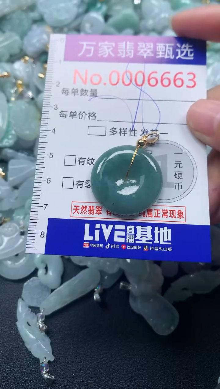 颈饰未镶嵌翡翠6663