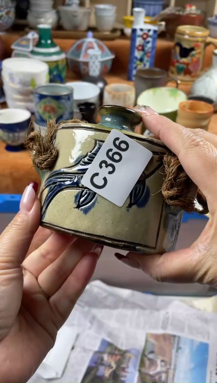 【闪购商品】C366              