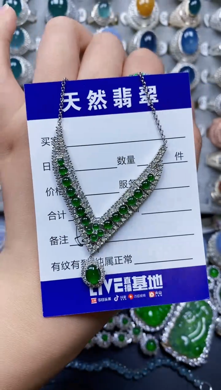 【闪购商品】翡翠颈饰银S925镶嵌0541