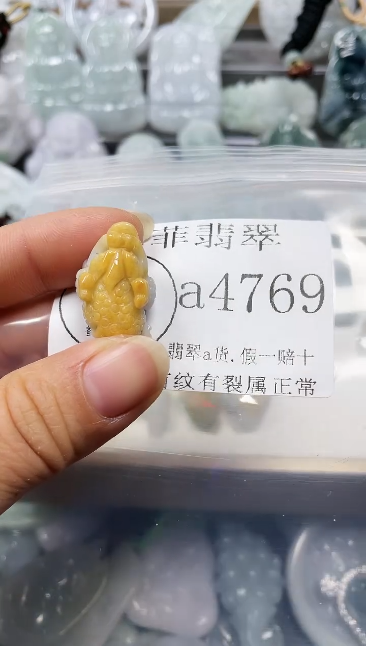 【闪购商品】翡翠颈饰未镶嵌闪购4769