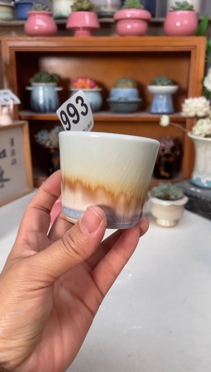 瓷片993小芳直播编号