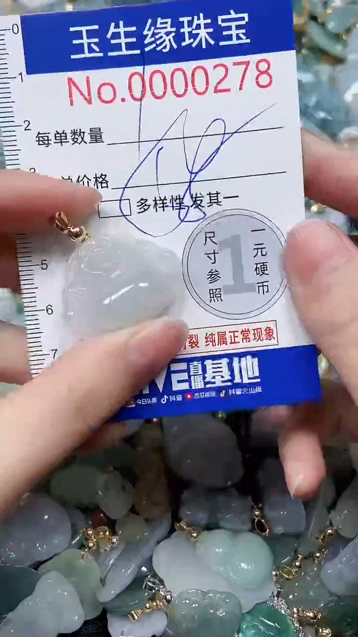 【闪购商品】翡翠颈饰未镶嵌闪购00000278