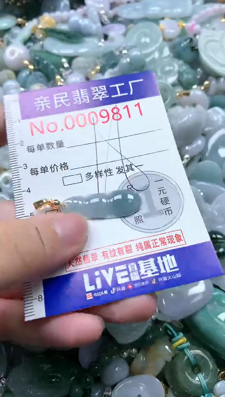 翡翠未镶嵌吊坠(不含链)9811