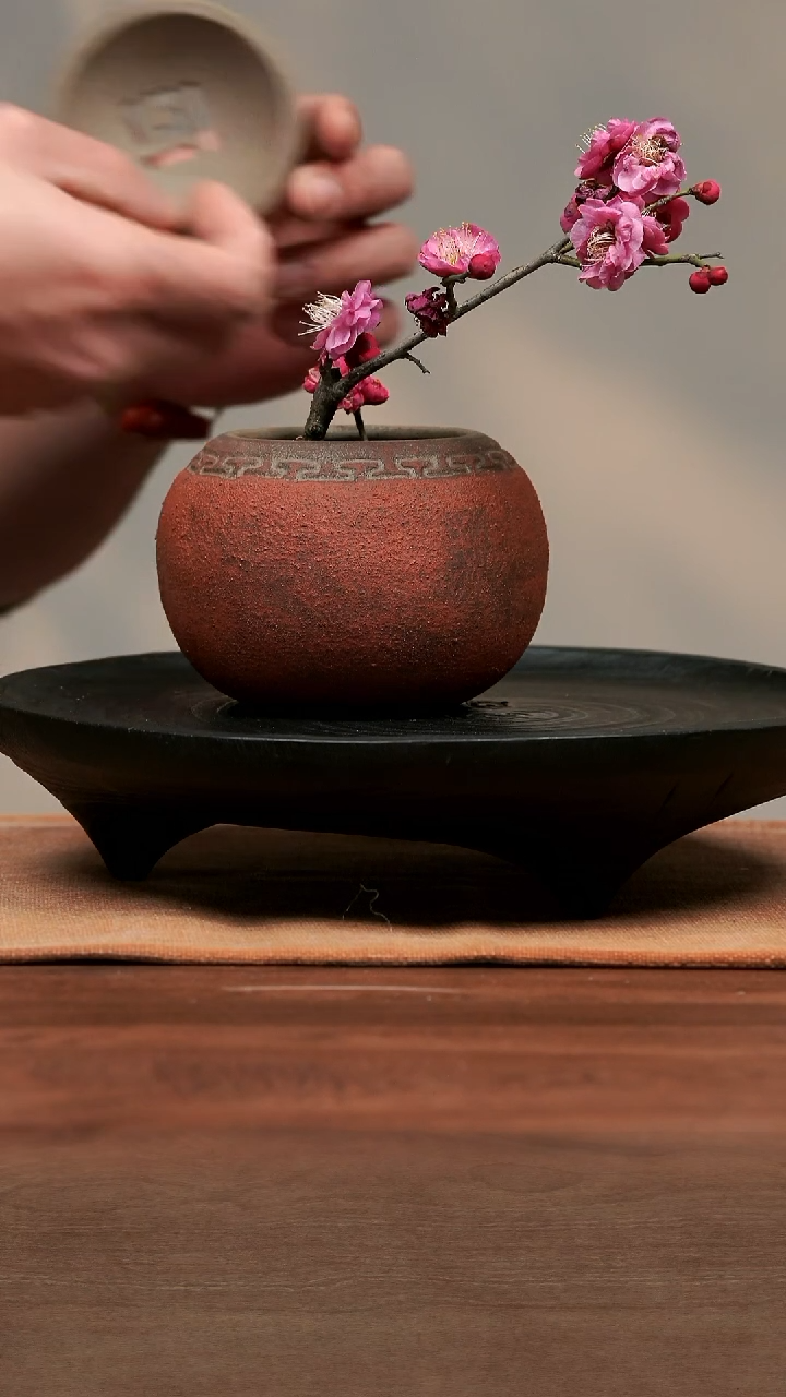 【闪购商品】紫砂茶宠红色建水  红色建水