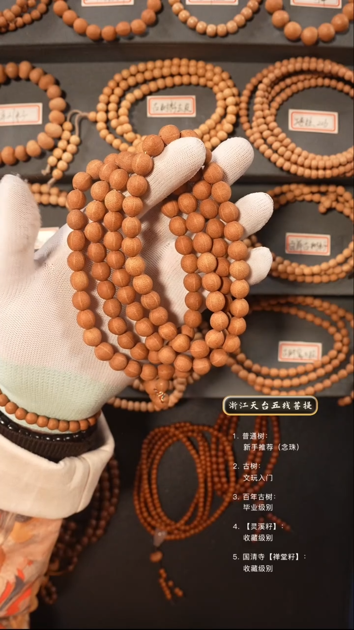 【闪购商品】五线菩提吊坠原皮脖挂