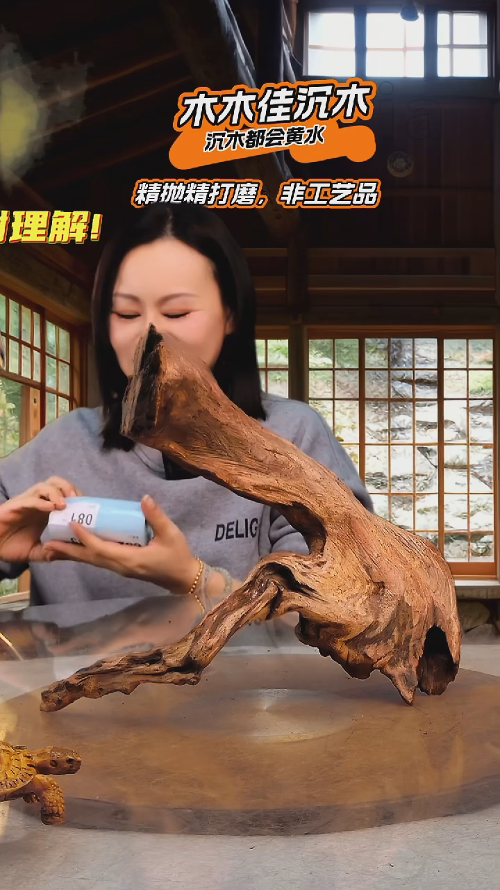 我**柔木木佳沉木鱼缸造景081