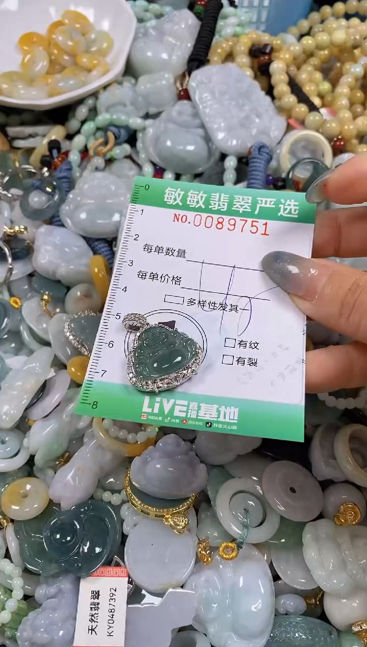 【闪购商品】翡翠颈饰未镶嵌闪购0089751