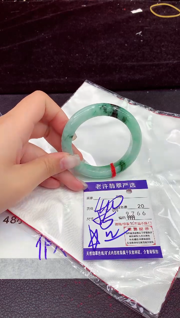 未镶嵌手镯翡翠1