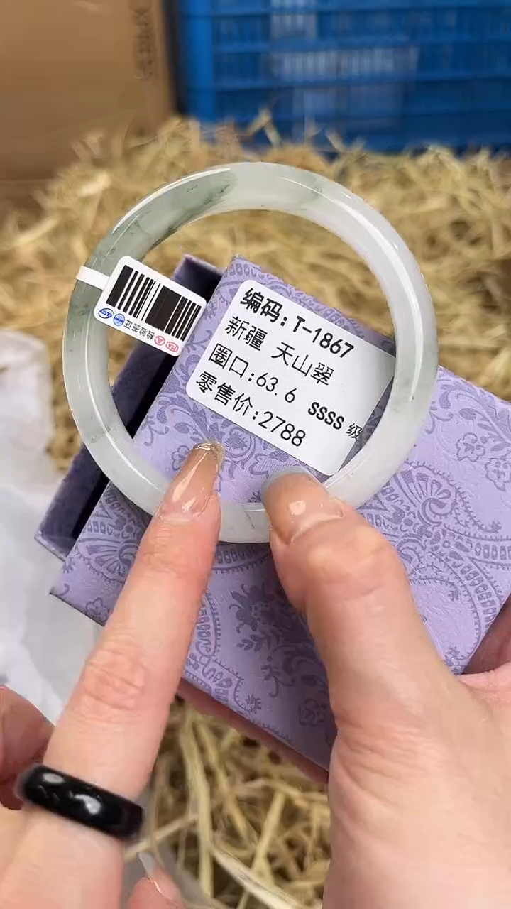 未镶嵌手镯石英质玉T-1867