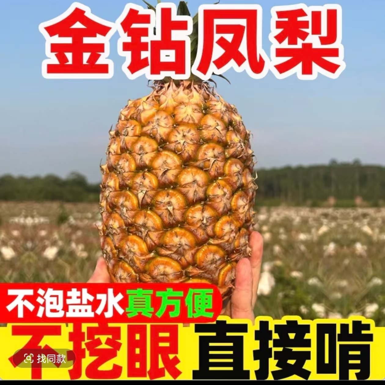 海南热带水果 孕妇水果  金砖凤梨爆甜多汁