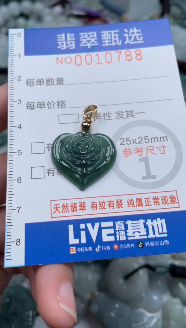 颈饰未镶嵌翡翠10788