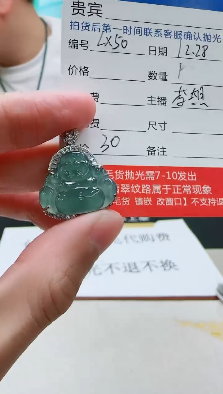 颈饰未镶嵌翡翠LX50翡翠吊坠-多样性发其一