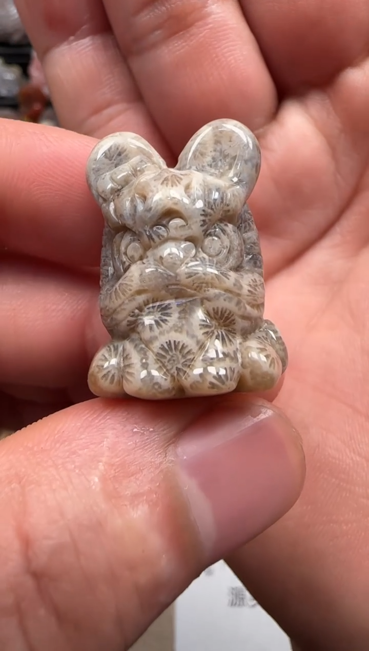 【闪购商品】硅化珊瑚（珊瑚玉）颈饰未镶嵌715