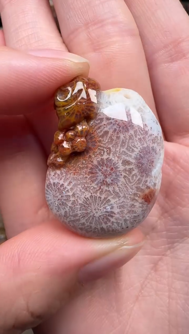 颈饰未镶嵌硅化珊瑚（珊瑚玉）825