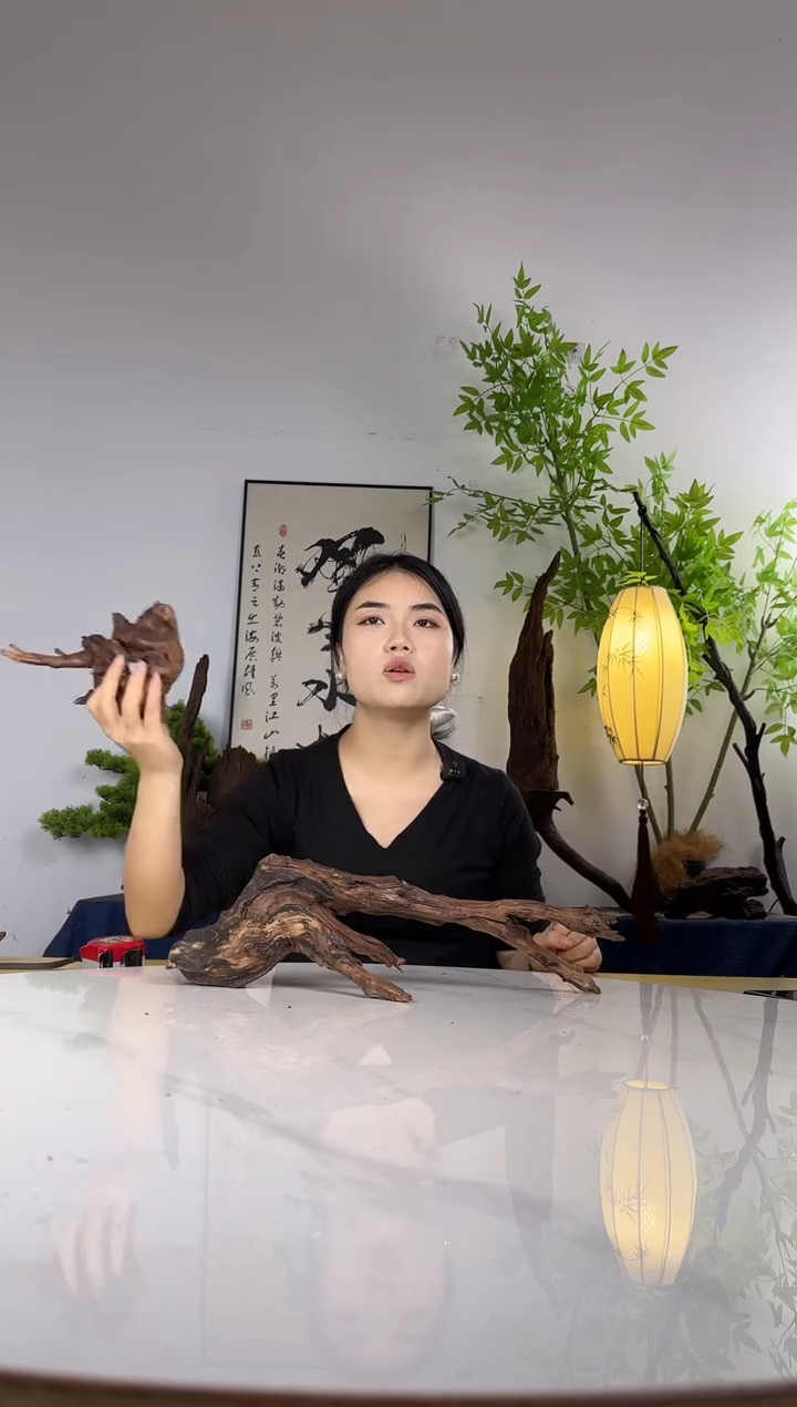 榕*拍这个定向编号89