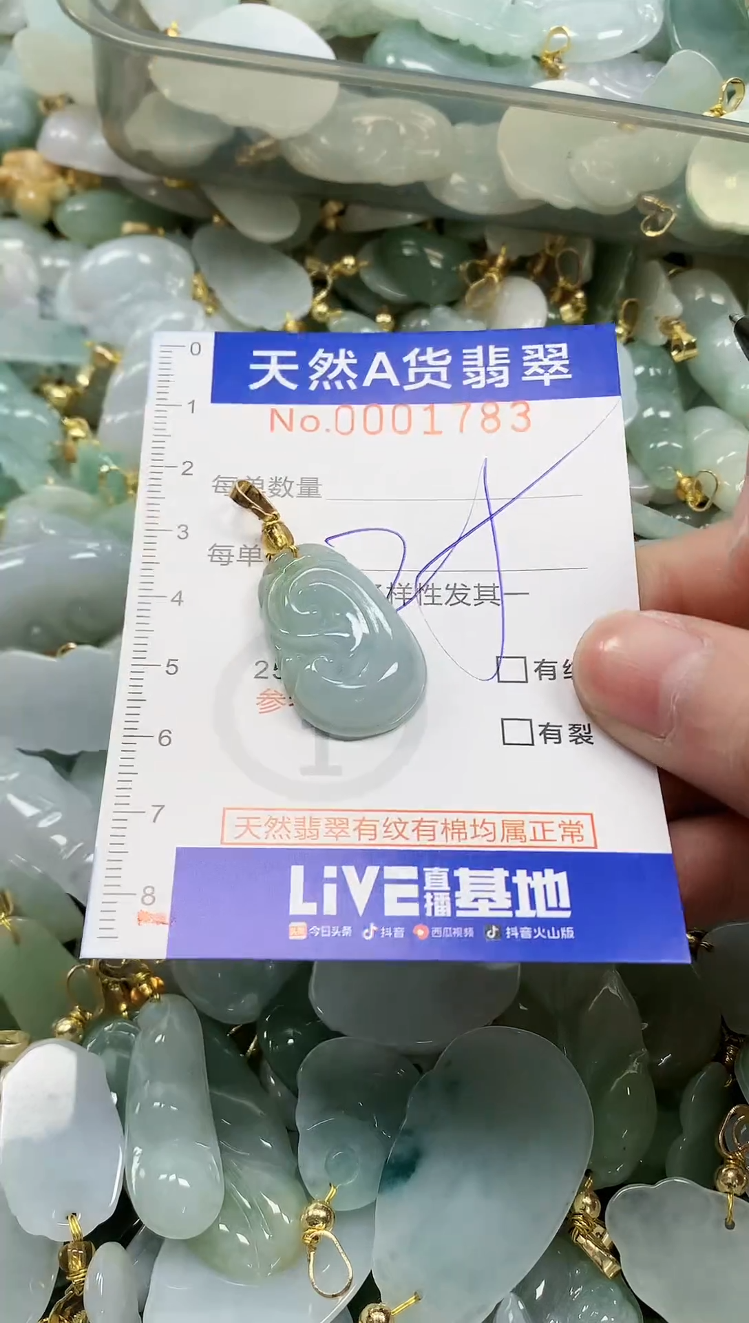 颈饰未镶嵌翡翠纯天然a货翡翠