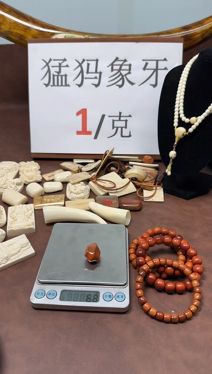 猛犸鲨鱼背三通***4号
