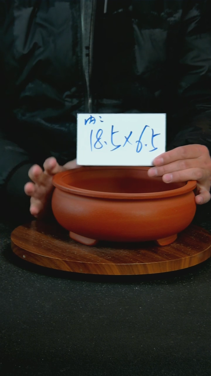 【闪购商品】紫砂R63